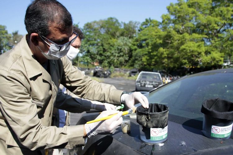 Ação de combate a dengue
Foto.Altemar Alcantara.Semcom