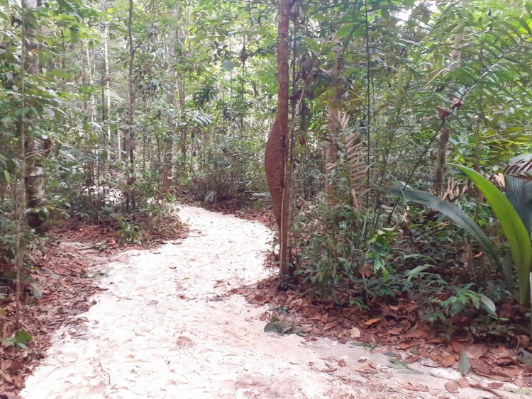 FOTOS: VALTER CALHEIROS/MUSA  