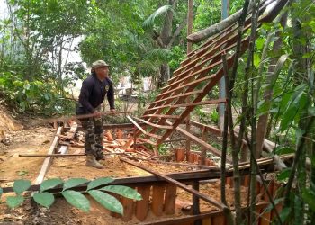 Fotos - Divulgação/Semmas