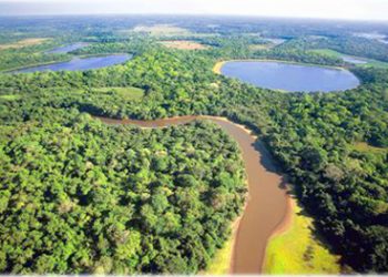 Pantanal. Foto: Ministério do turismo
