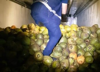 FOTOS: Divulgação/Adaf