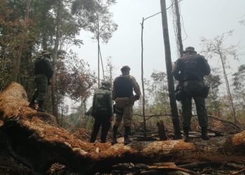 Fotos: Divulgação/Sema