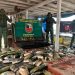 Em Manacapuru, Batalhão Ambiental apreende pescado ilegal e óleo diesel dentro de uma embarcação. Foto: Divulgação