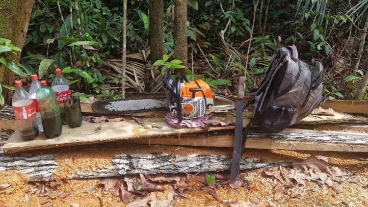 FOTOS: Divulgação/PMAM