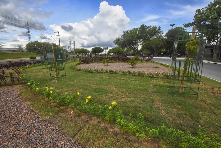 Atualização das ações de Paisagismo e Urbanismo na cidade.
Foto: Ingrid Anne/Semcom