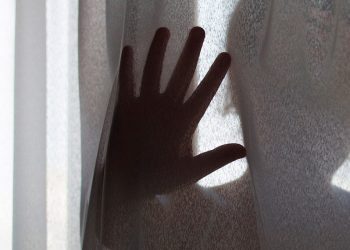 Foto: Reprodução / Internet