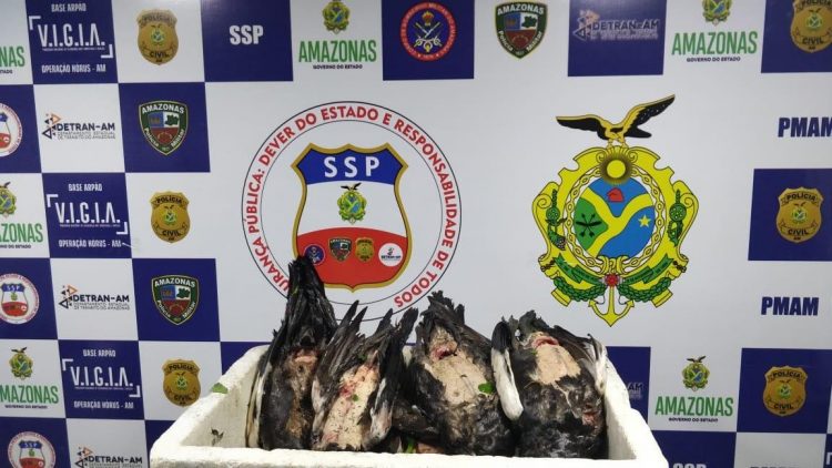 Foto: Divulgação/SSP-AM