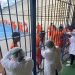 Fotos: Divulgação/Seap