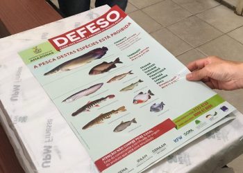 Foto: Divulgação/IPAAM