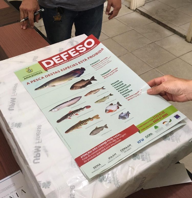 Foto: Divulgação/IPAAM