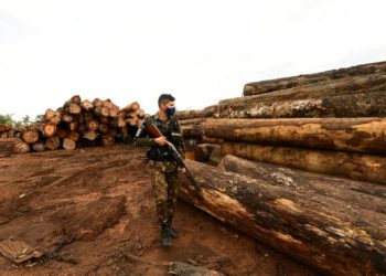Madeira ilegal extraída da floresta amazônica em Porto Velho (RO), em maio de 2020.| Foto: Estevam/CComSEx/EB/Flickr Leia mais em: https://www.gazetadopovo.com.br/republica/bolsonaro-paises-compradores-madeira-ilegal-da-amazonia/ Copyright © 2020, Gazeta do Povo. Todos os direitos reservados.