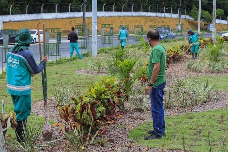 Prefeitura avança em serviços de paisagismo e urbanismo na cidade.
Foto: Marcio James / Semcom