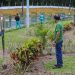 Prefeitura avança em serviços de paisagismo e urbanismo na cidade.
Foto: Marcio James / Semcom