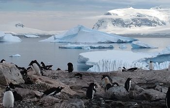 Antátida foto- Melissa:Pixabay