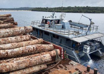 Os militares da Capitania Fluvial de Santarém (CFS) abordaram, no fim da tarde dessa segunda-feira (28), outro comboio que transportava toras de madeira extraídas da região. Uma equipe de Inspeção Naval da CFS desconfiou de uma embarcação que estava abarrancada na comunidade de São José, no Rio Arapiuns, em Santarém-PA, e constatou o excesso de carga.