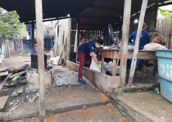 FOTOS: Divulgação/Adaf