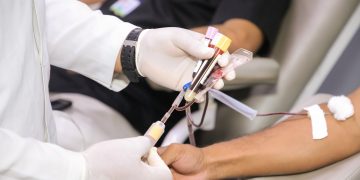 Doação de Sangue Foto: Divulgação/Hemoam