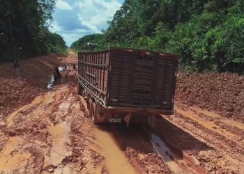 Caminhão atolado na BR 319. Foto: Reprodução/ Internet