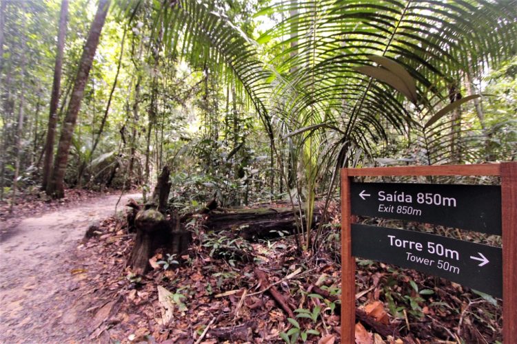 MUSA. Foto: Valter Calheiros