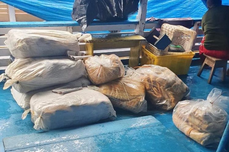 FOTOS: Divulgação/PMAM