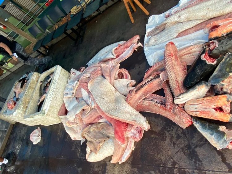 FOTOS: Divulgação/SSP-AM