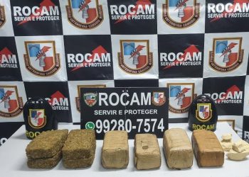 FOTOS: Divulgação/PMAM