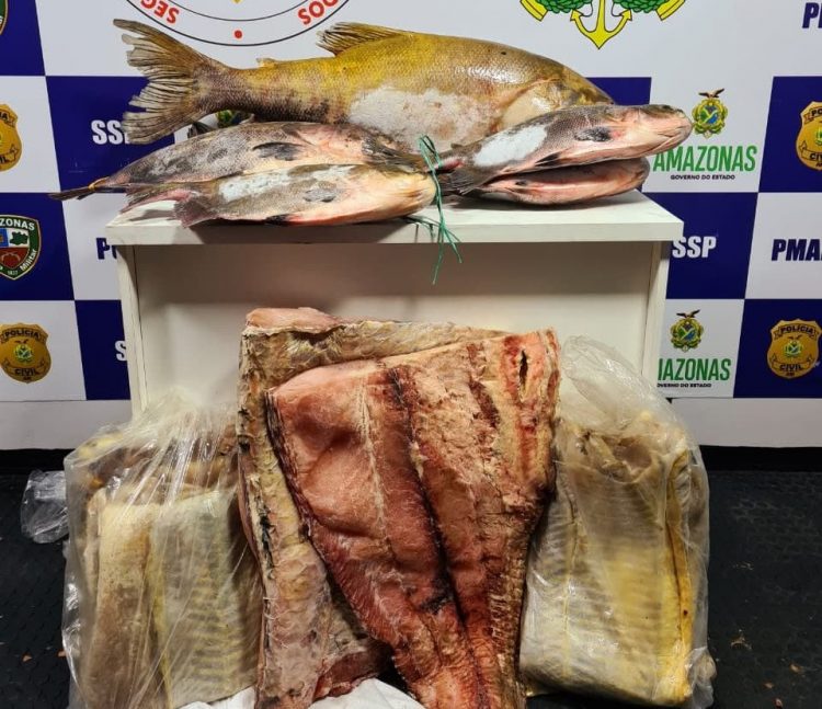 FOTOS: Divulgação/SSP-AM