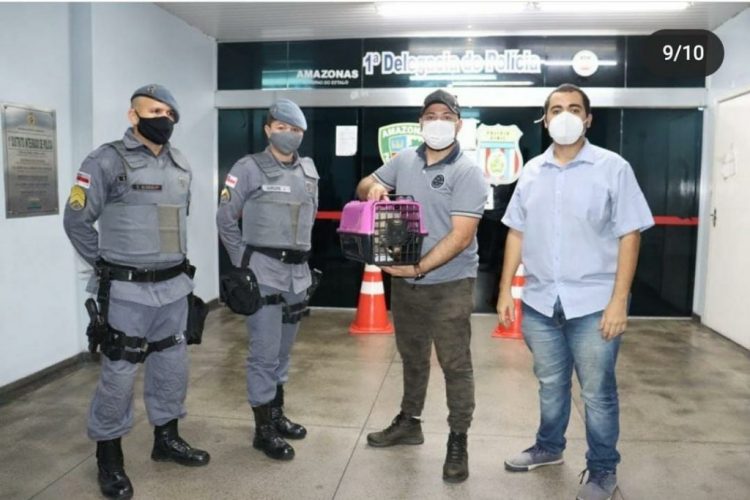 Animal e os dois homens, foram conduzidos e apresentados ao 1° Distrito Integrado de Polícia (DIP) para a conclusão dos procedimentos legais. FOTO: Divulgação / PMAM