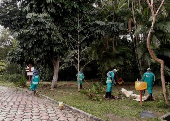 Prefeitura inicia trabalho de revitalização do Parque do Mindu Fotos - Divulgação / Semmas