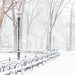 Nevasca em Nova York. Foto- Reprodução: Twitter @ny_iaee