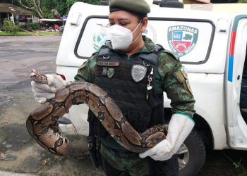 Foto: Divulgação/SSP-AM