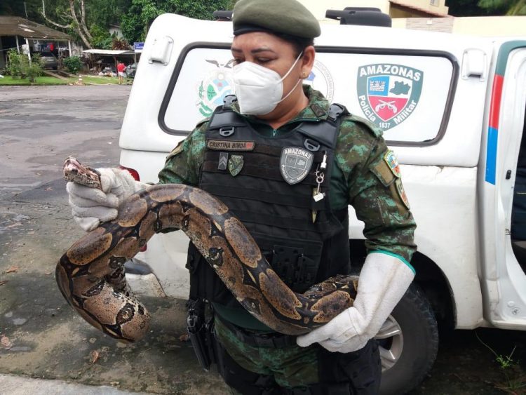 Foto: Divulgação/SSP-AM