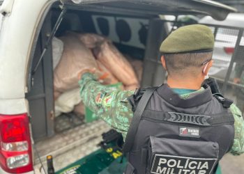 Conforme a equipe policial, o responsável pelo pescado não possuía guia de transporte ou comercialização. Ainda de acordo com a polícia, o pescado também não estava acompanhado dos lacres regulamentares da espécie.