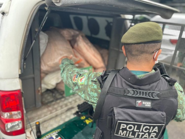 Conforme a equipe policial, o responsável pelo pescado não possuía guia de transporte ou comercialização. Ainda de acordo com a polícia, o pescado também não estava acompanhado dos lacres regulamentares da espécie.