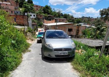 FOTOS: Divulgação/PMAM