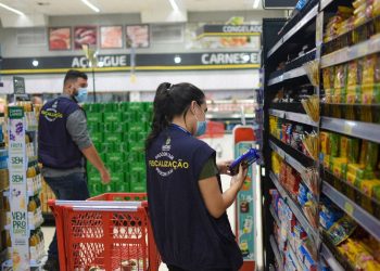 Dos itens apreendidos, a maior parte (13 Kg) foi de frango. Os fiscais também recolheram peças de carne suína, itens em conserva, temperos, bebidas, laticínios e pães.