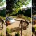 As pancadas ocorreram quando a mulher não aceitou ser conduzida à delegacia na viatura sem a outra envolvida na discussão que gerou o desentendimento. (Divulgação)
