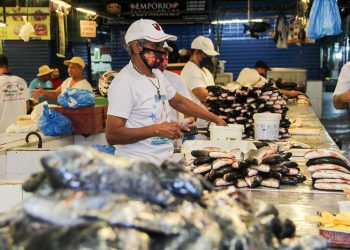 Feiras e mercados retomam atividades com novo horário de funcionamento
Fotos: João Viana / Semcom