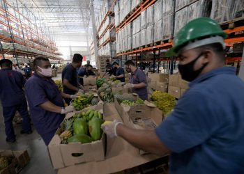 Preparação do kit familiar. Foto: Alex Pazuello/Semed