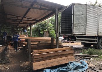 Defesa Civil recebe doações de madeiras para construção de pontes e barragens contra a cheia
Fotos - Divulgação / Defesa Civil