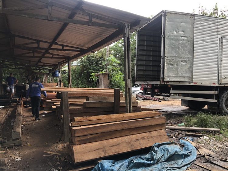 Defesa Civil recebe doações de madeiras para construção de pontes e barragens contra a cheia
Fotos - Divulgação / Defesa Civil
