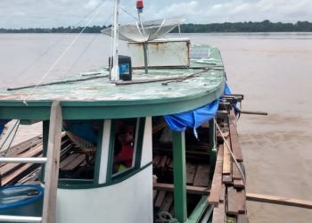 Transporte de madeira ilegal. Foto: Divulgação SSP-AM