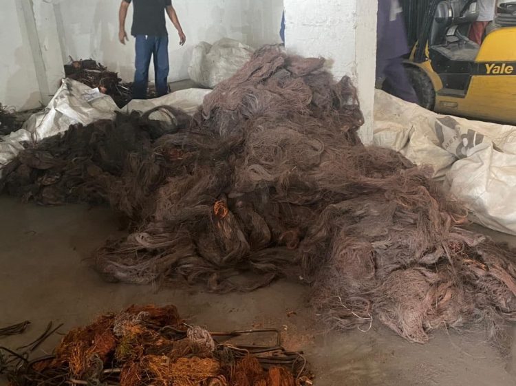 FOTOS: Alailson Santos e Divulgação/PC-AM