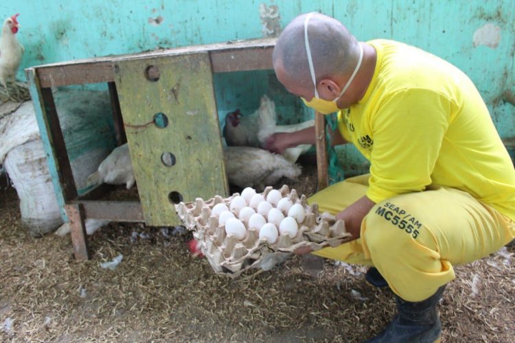 Fotos: Divulgação / Seap