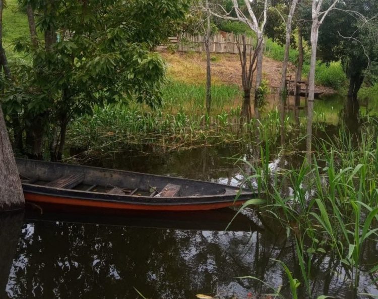 Foto: Divulgação/PC-AM