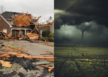 Foto: Reprodução/Twitter