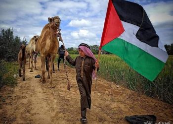 Criança palestina e seu camelo . Foto: Hani Alshaer