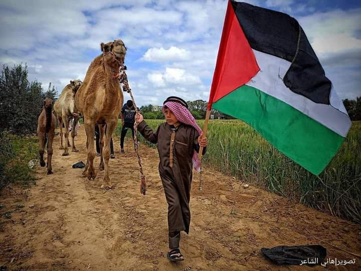 Criança palestina e seu camelo . Foto: Hani Alshaer