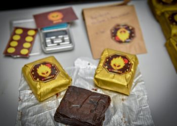 Foto: Foto: Erlon Rodrigues/ PC-AM.