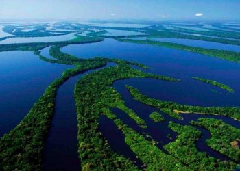 Reprodução / Internet